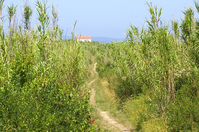 INSEL SUSAK > Weg zur Kapelle Mariä Verkündigung