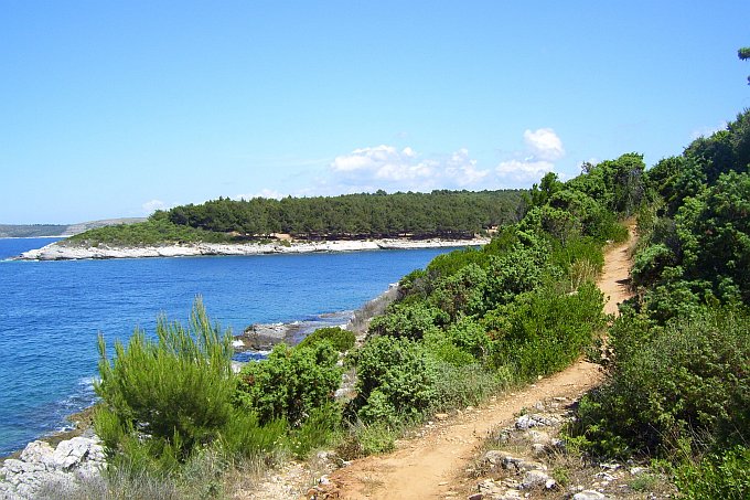 ISTRIEN > Kap Kamenjak > Wanderweg