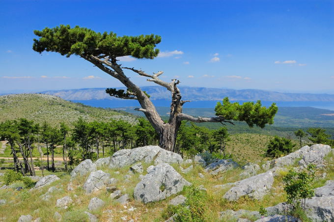 INSEL HVAR > Fahrrad-/Wandertour zum Sv. Nikola > Auf dem Weg