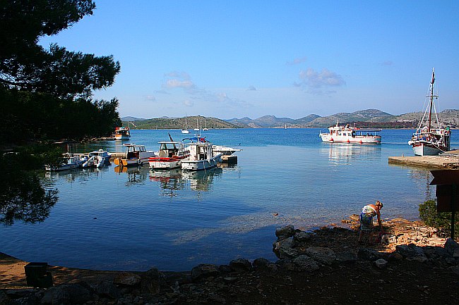 Norddalmatien: DUGI OTOK > Uvala Mir im Naturpark Telascica