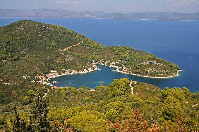 Süddalmatien: INSEL MLJET  > Bucht Okuklje