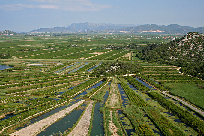 Süddalmatien: NERETVA > Fruchtbares Flussdelta