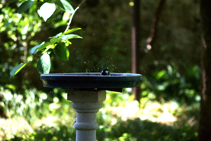 Ferienwohnung: PREMANTURA >im Garten