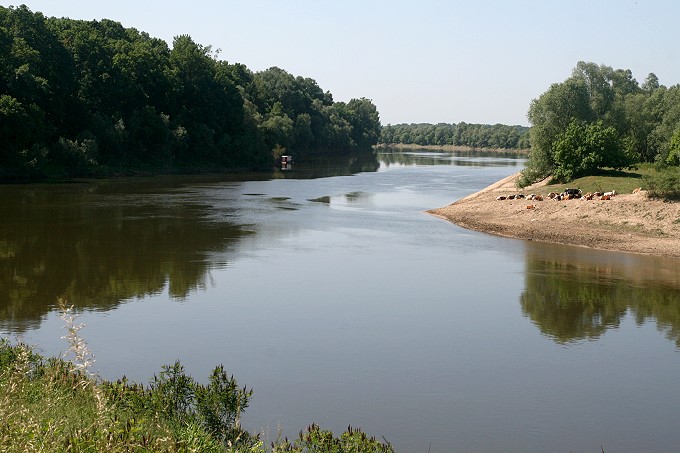 Sisacko-moslavacka: DIE SAVA ( Sawe) südlich von Sisak