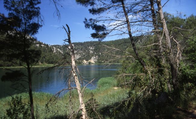 KRKA NATIONALPARK > Krka - unterhalb der Wasserfälle