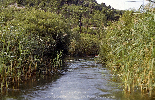 KRKA NATIONALPARK > Visovaco jezero - Schilf