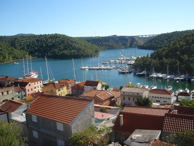P1010252.jpg