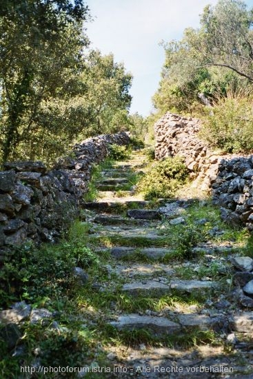 Otok Losinj > Wanderweg nach Sveti Nikola