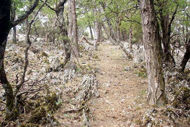 Aufstieg zum Televrin – Insel Losinj 4