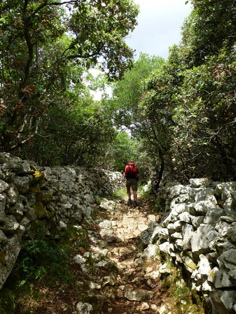 Osorscica 2014