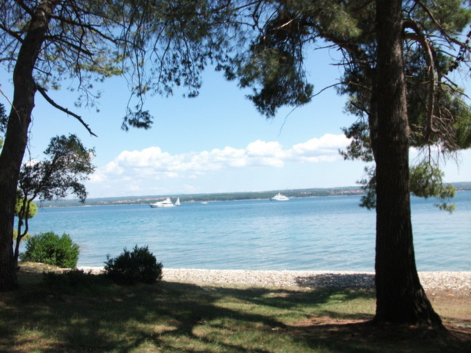 Istrien: INSEL BRIUNI > Blick aufs Meer