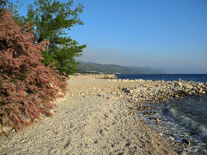 Kvarner: NOVI VINODOLSKI > am Strand im Frühling