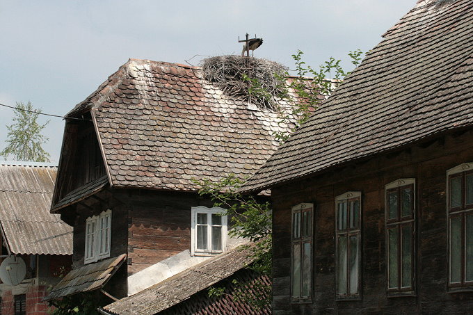 Landesinnere: CIGOC > Storchennnest auf dem Dach