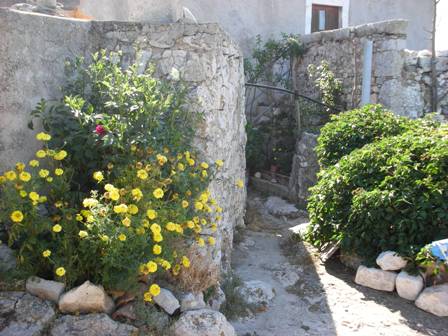 Kvarner: LUBENICE auf Cres > Vorgartenidyll