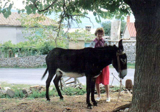 Kvarner: POLJE auf Krk > Am Wegrand