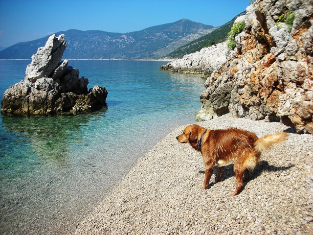 Kvarner: CRES > kleine Badebucht