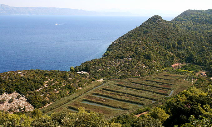 Dalmatien: Insel Mljet > KOZARICA > verschilfter Süßwassersee