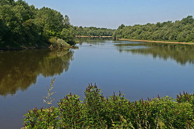 Landesinnere: SAVA  im Lonjsko Polje