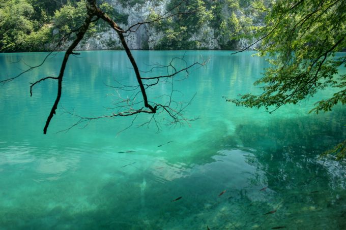 Velebit: NATIONALPARK PLITVICER SEEN > Fisch im klaren Wasser 2