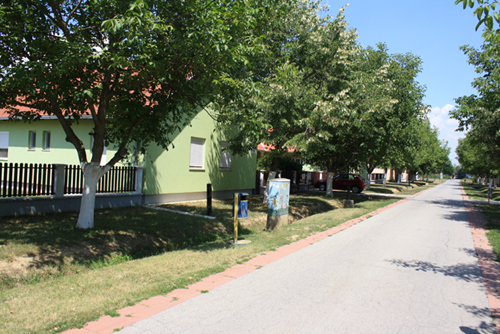 Landesinnere: BIZOVAC > Eine Allee in Kroatien