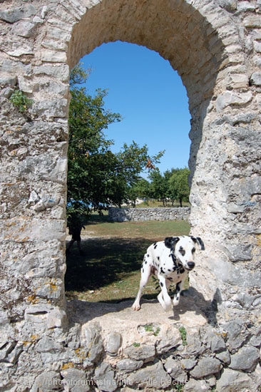 INSEL KRK > Mirine > Basilika Turmfenster