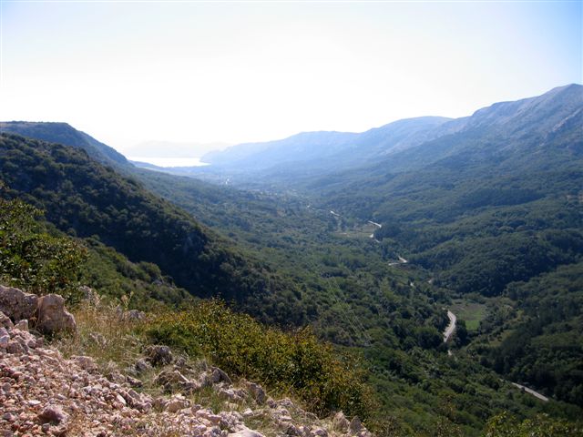 IMG_1957.jpg