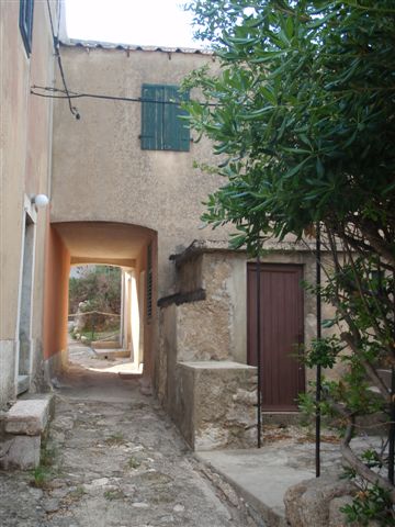 P5290343.jpg