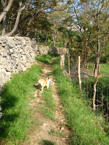 Wanderweg bei Draga 3