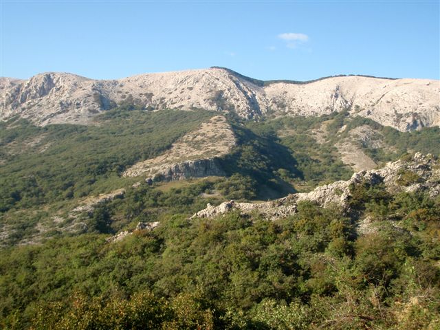 Wanderung zu den Schafweiden 3