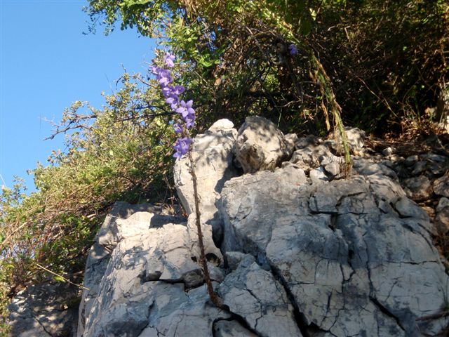 Wanderung zu den Schafweiden 4