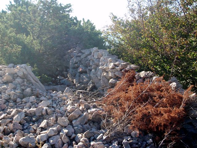 Wanderung zu den Schafweiden 7