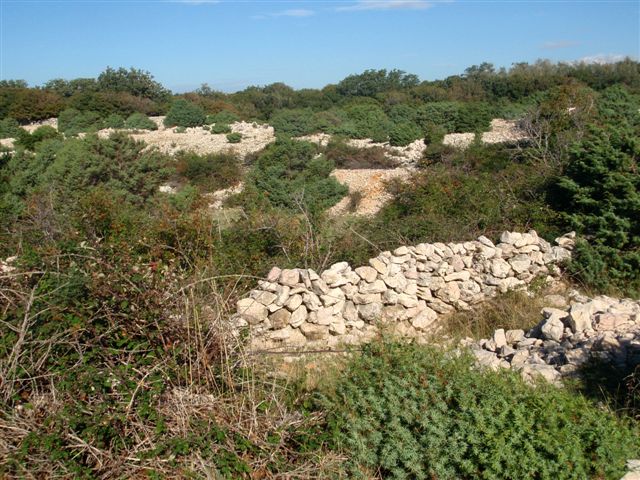 Wanderung zu den Schafweiden 9