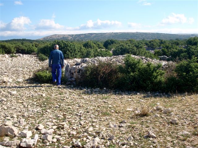 Wanderung zur Schafweide 4