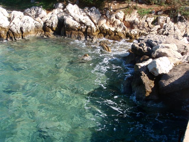 PA021606.jpg
