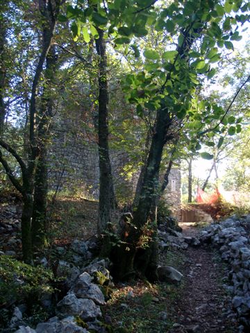 PA021636.jpg