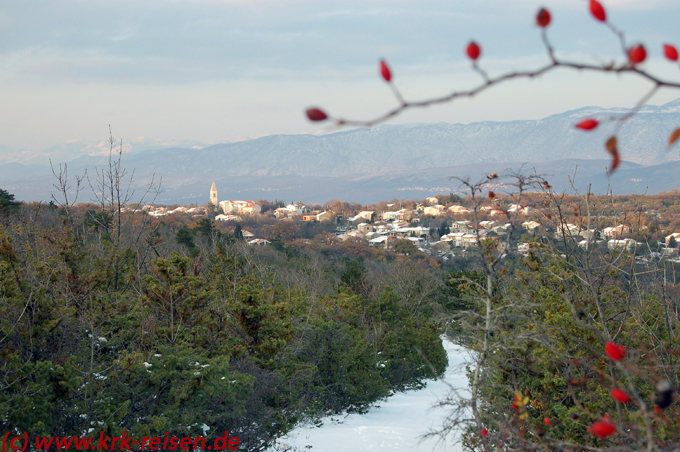 Polje im Winter