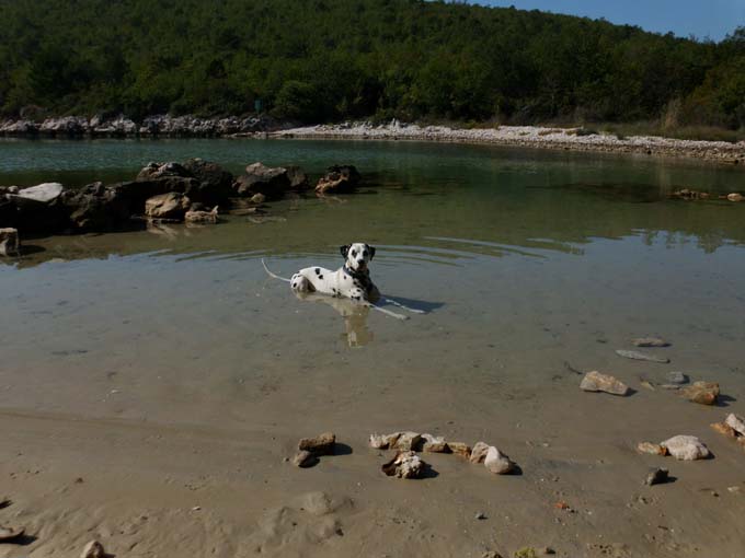 Kvarner: INSEL KRK > Petrina 5