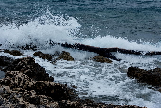 Kvarner: MALI LOSINJ > Strandgut