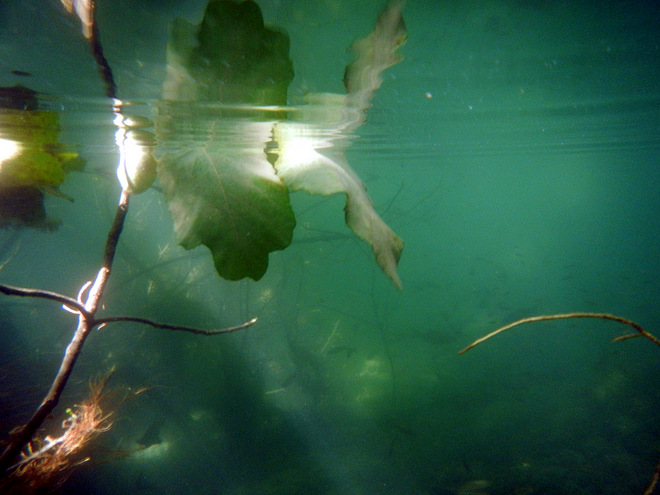 Dalmatien: NATIONALPARK KRKA > Unterwasser