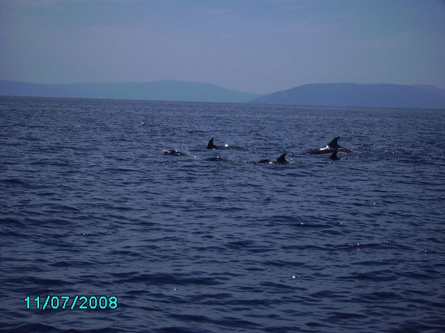 Istrien: RABAC > 6er Delfingruppe