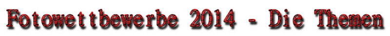 2014-3.jpg