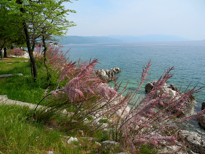 DSCN1006_2.jpg