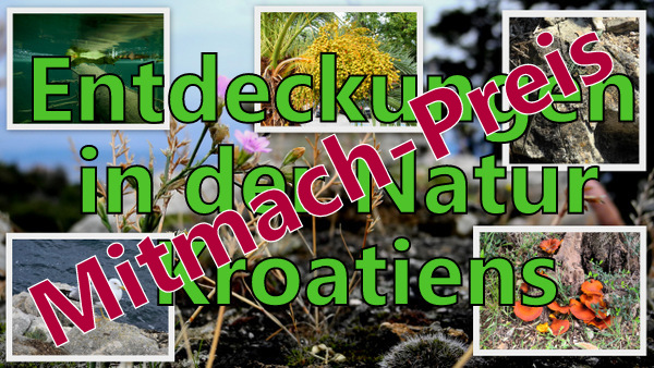 Natur2-001_2.jpg