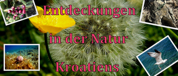 natur-001.jpg