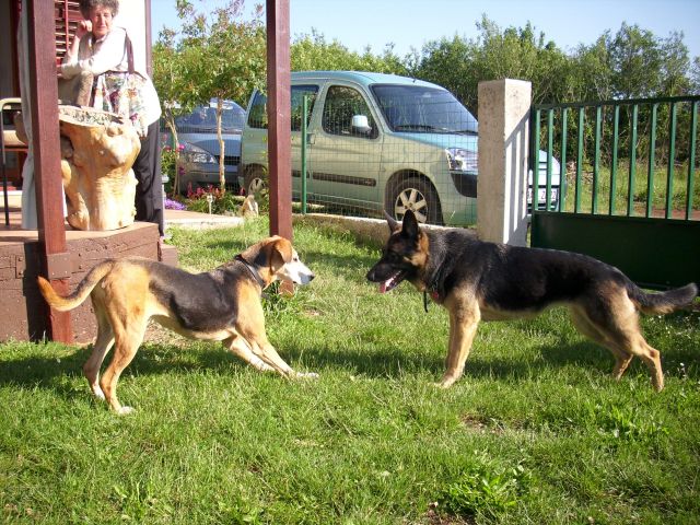 16.05.12_001_2.jpg