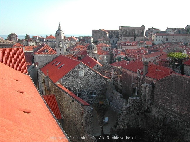 DUBROVNIK > Altstadt > Blick auf die Altstadt