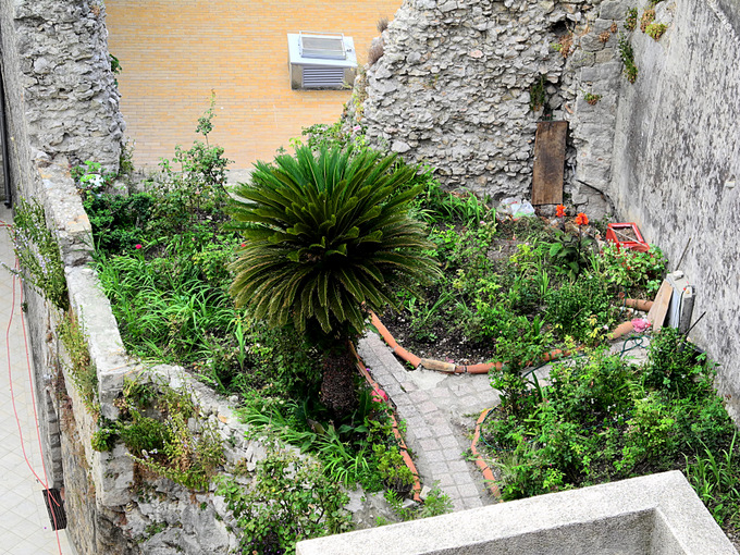 DUBROVNIK > Garten an der Stadtmauer