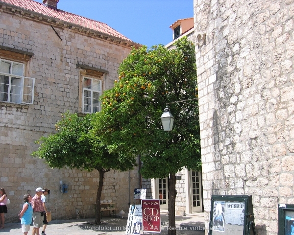 DUBROVNIK > Altstadt > Gasse