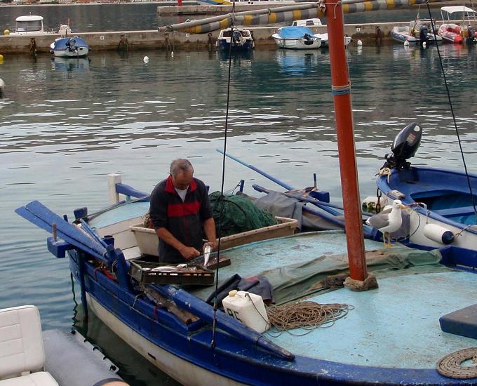 Kvarner: BASKA auf Krk > Fischer mit Möwe