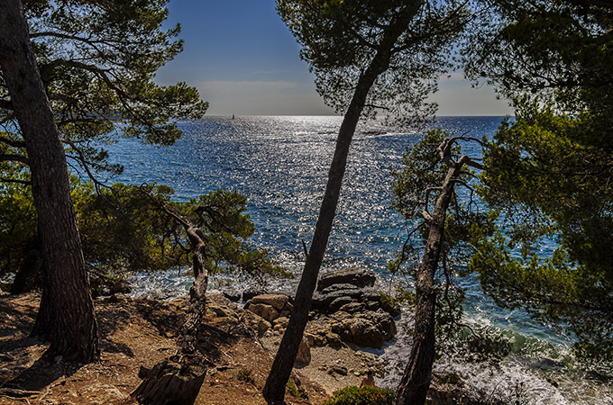 Istrien: ROVINJ > Durchblick